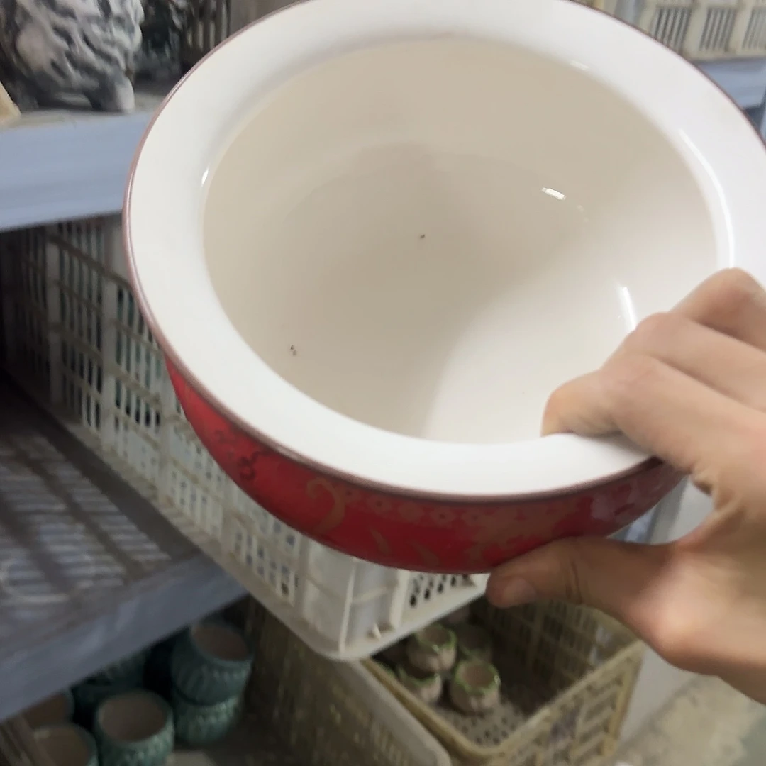 无孔水仙····8011