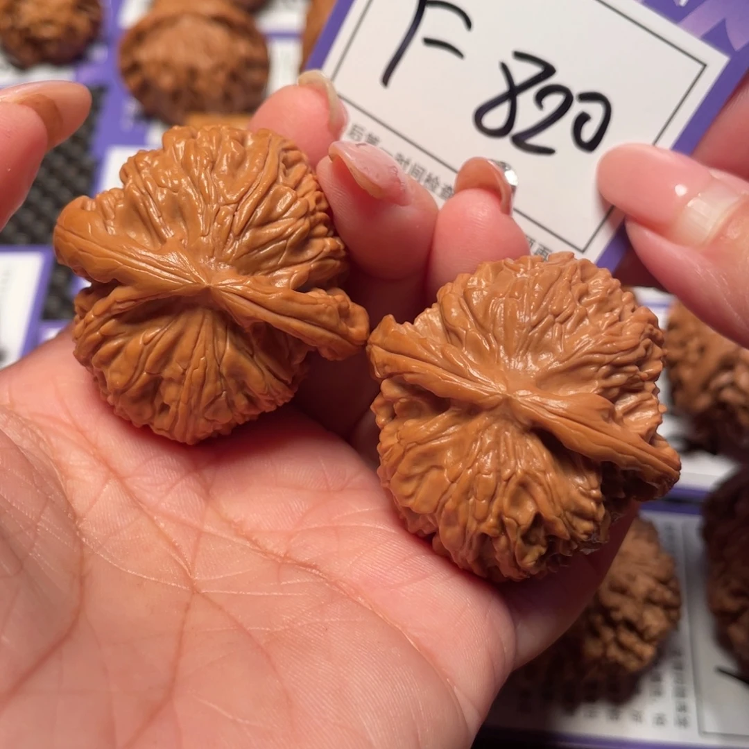 把件文玩核桃820号白狮子41