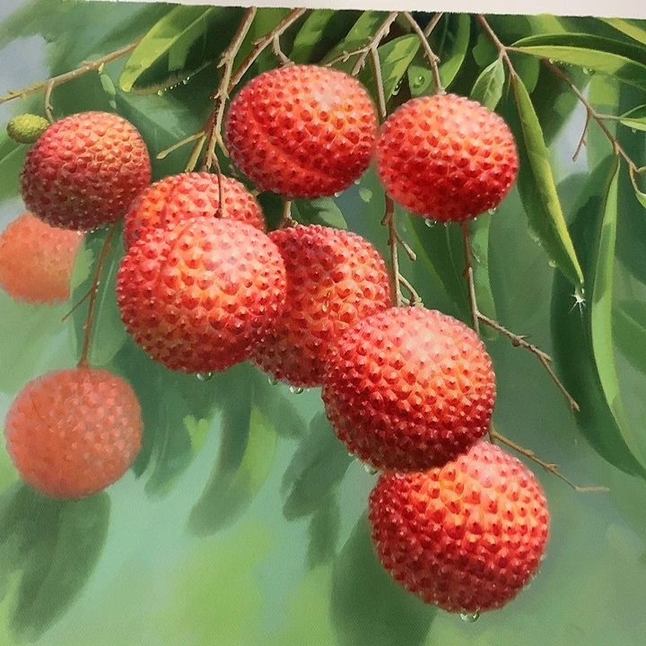 油画50*60手绘油画手绘油画