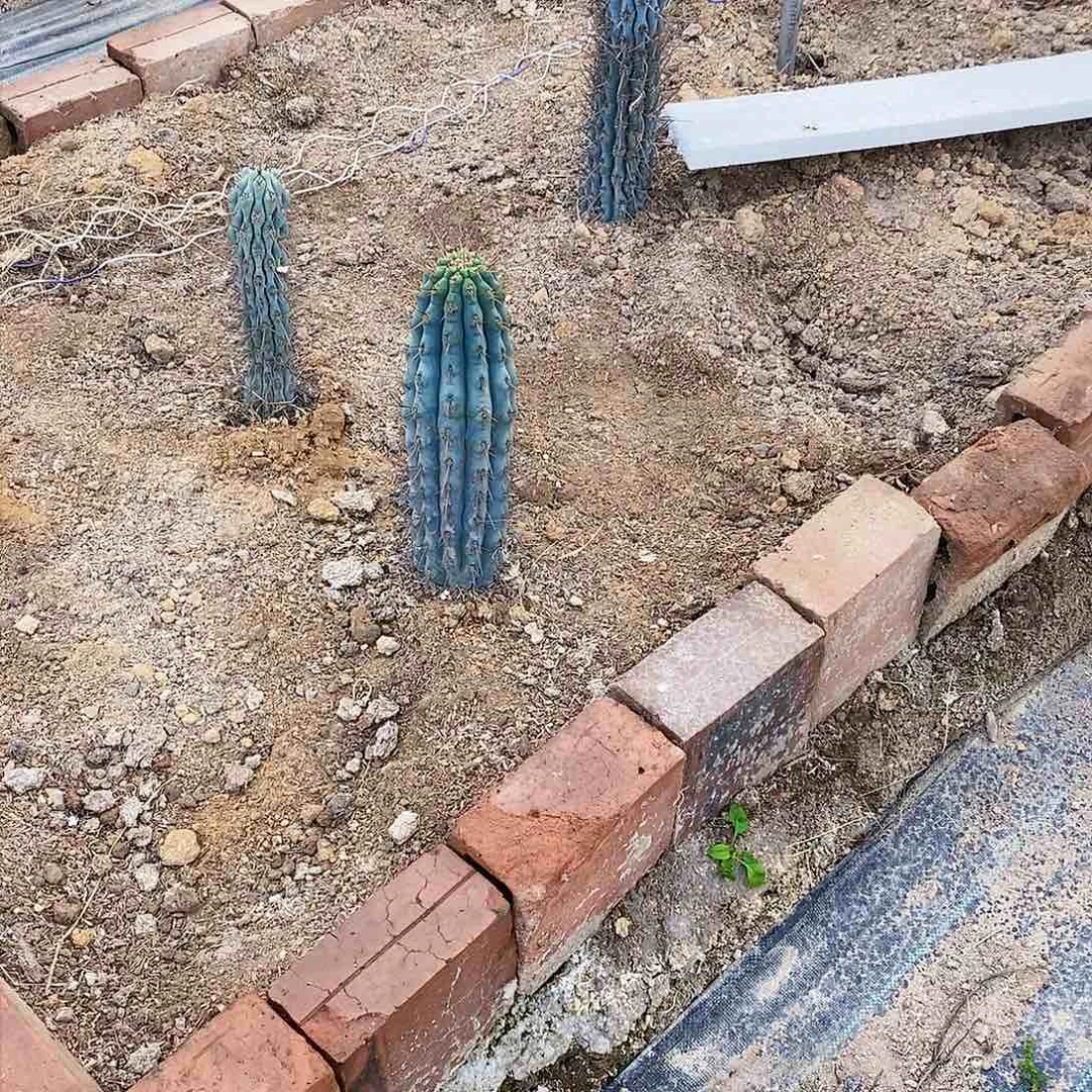 豪*0000000000000000000000