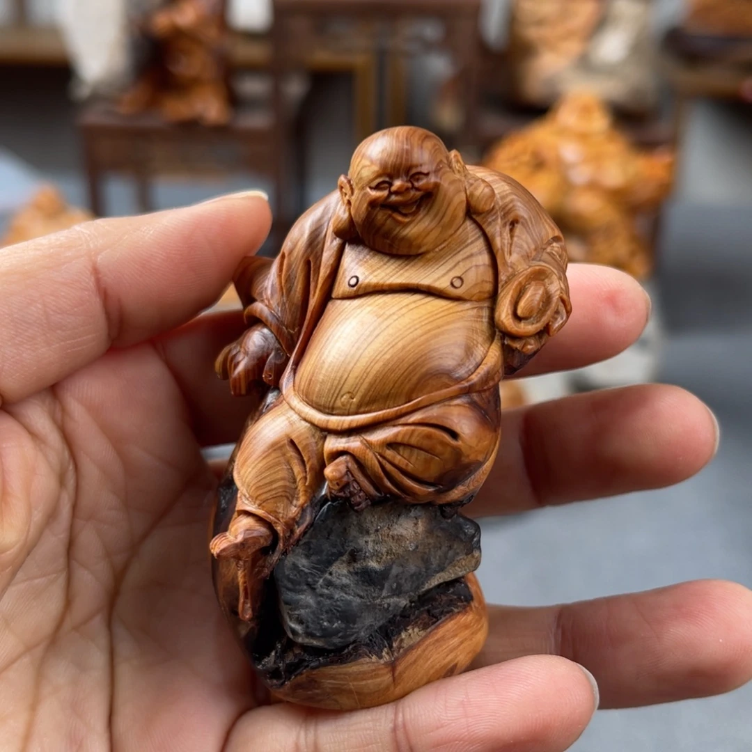 柏木（崖柏）崖柏太行山脉