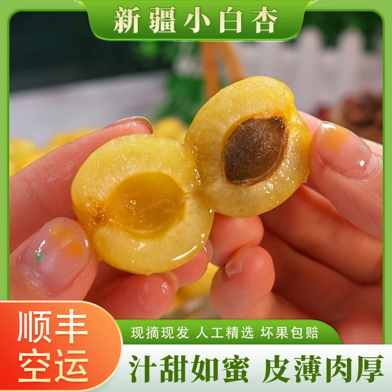 【顺丰空运】新疆小白杏新鲜蜜杏白杏甜蜜多汁果园现摘现发2斤起