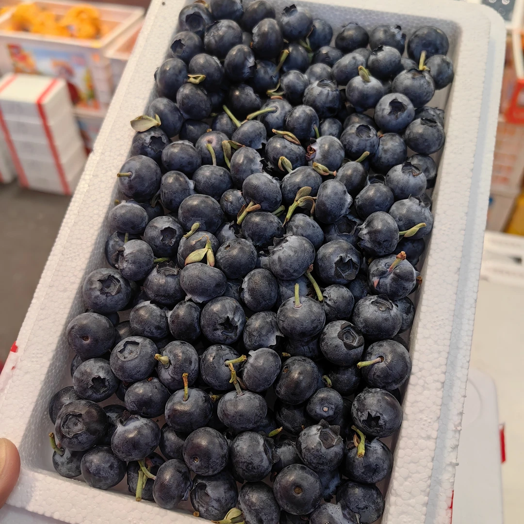 云南蓝莓（0.45kg左右带花香）10m-12mm