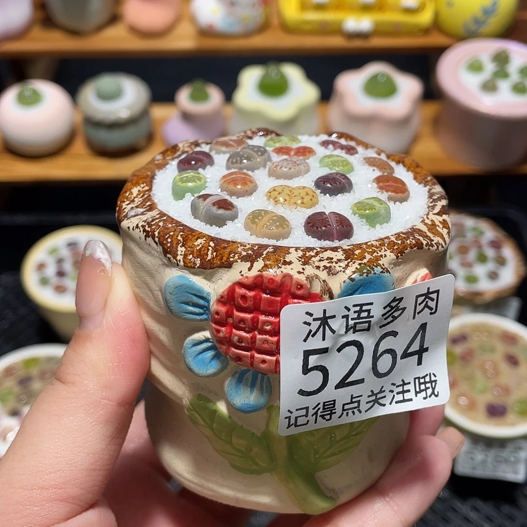 带盆土植物 一物一拍5264