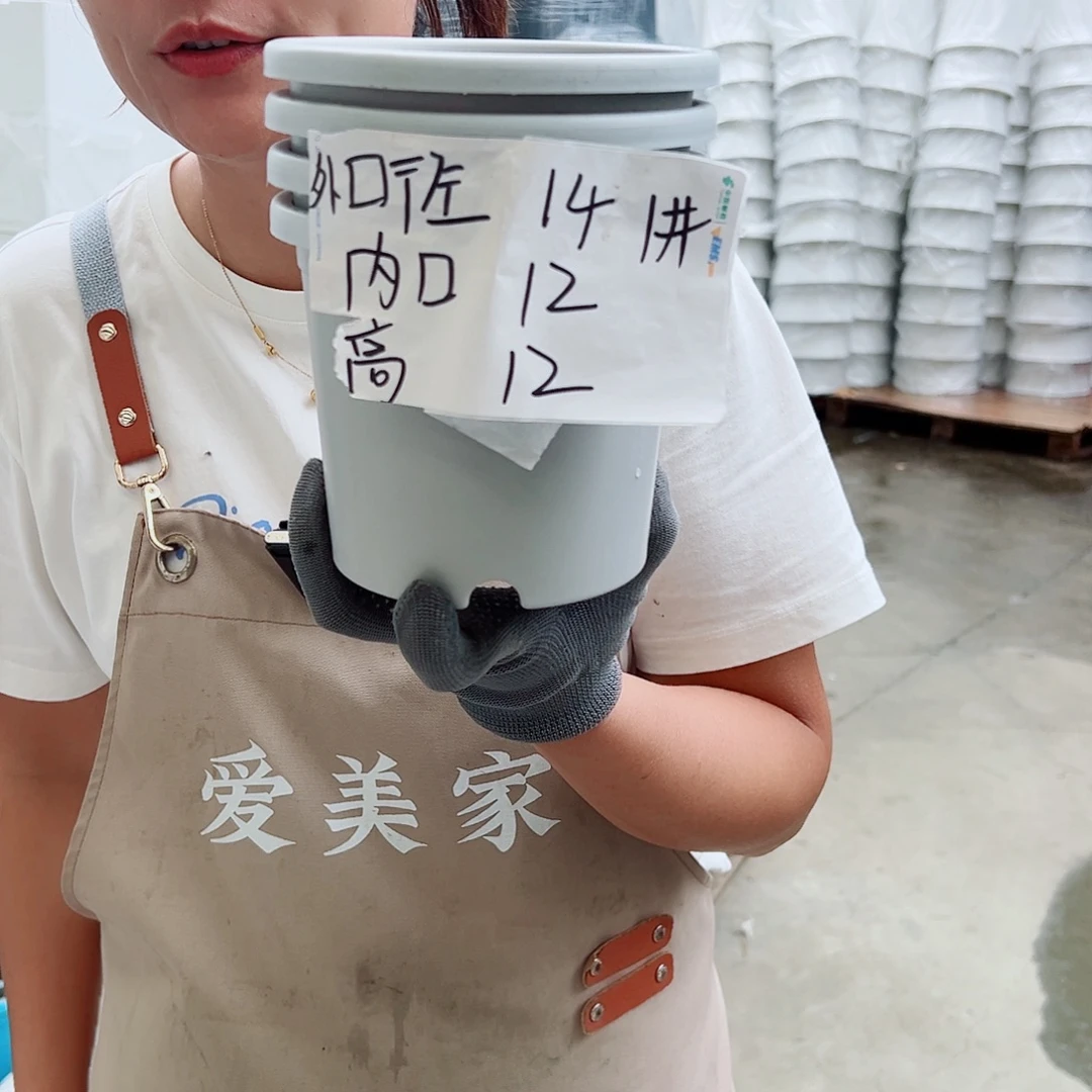 四季盆1#灰白色10个无托