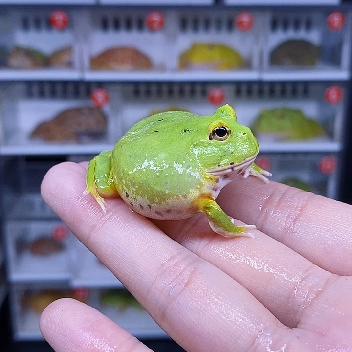特价促销特价秒杀