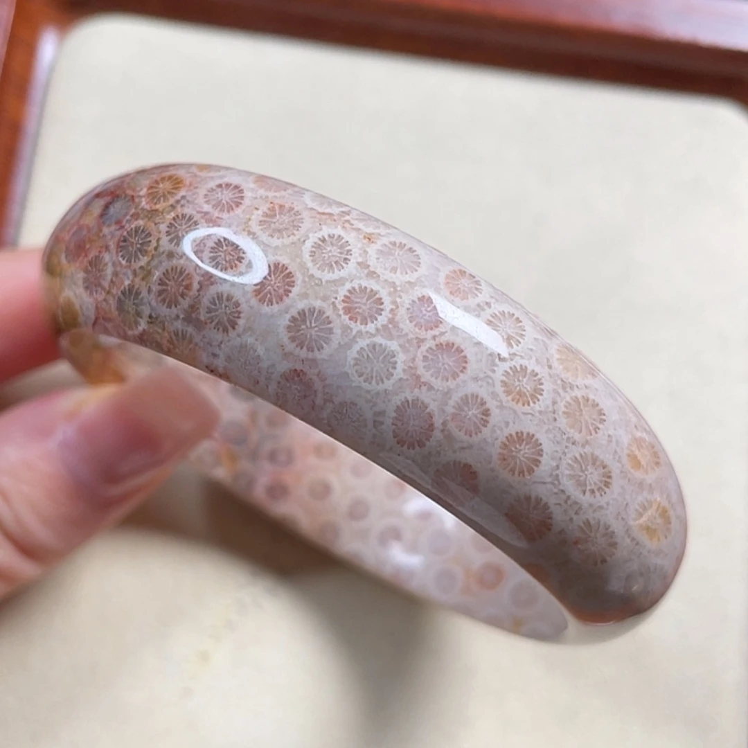 【闪购商品】硅化玉手镯未镶嵌
