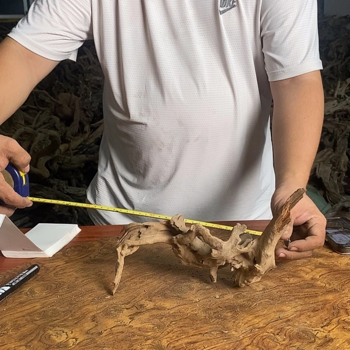 木00036号杜鹃根雕原木鱼缸摆件装饰