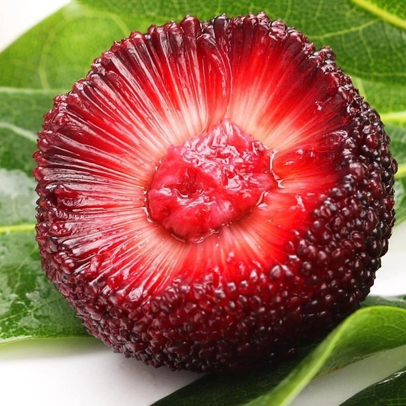 博白凤山中杨梅当季水果（没有售后）谨慎下单