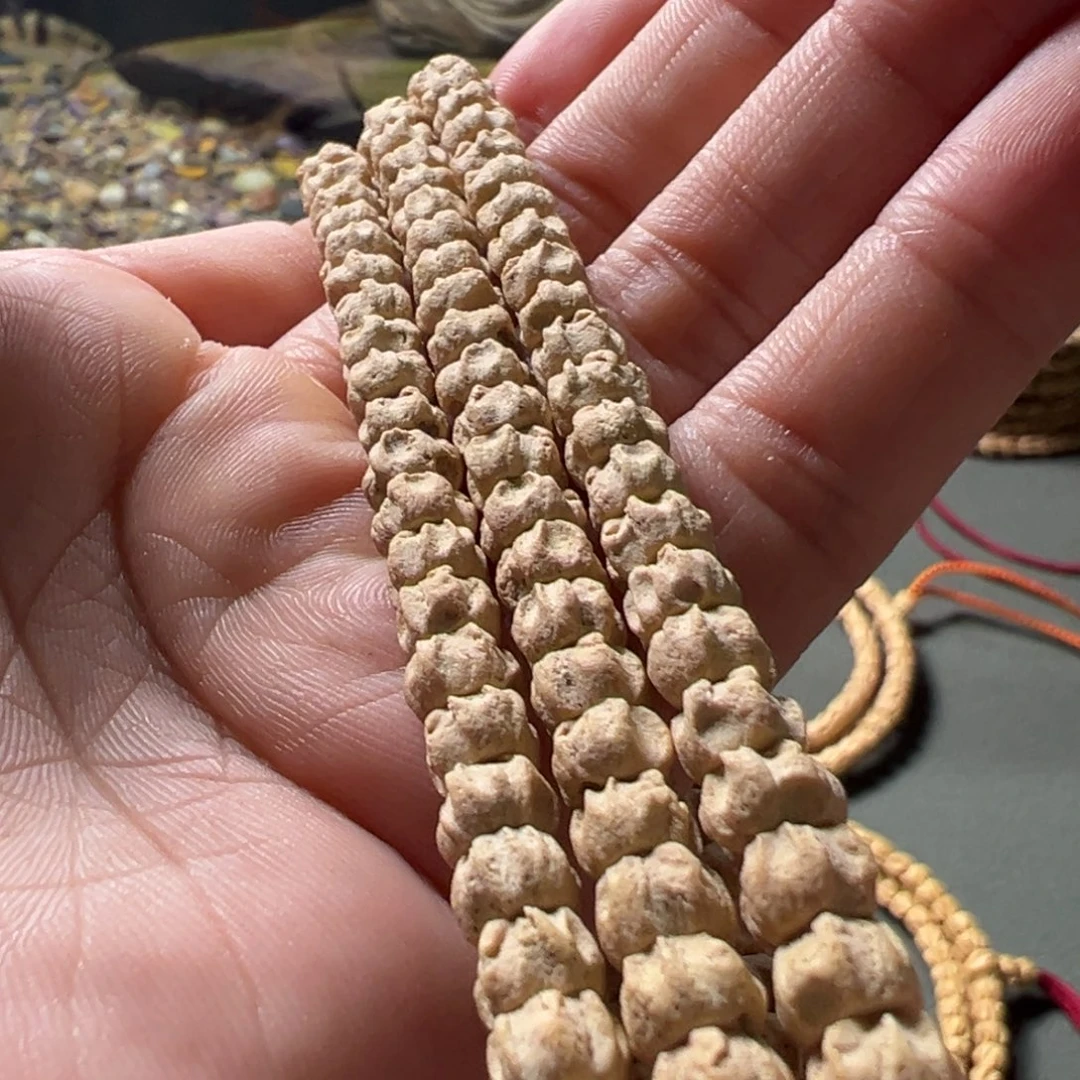 柏香籽/百香籽吊坠A5