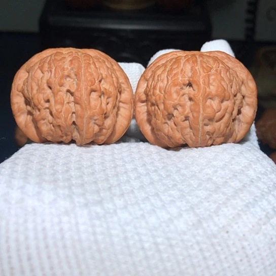 木44精品全品血麒麟