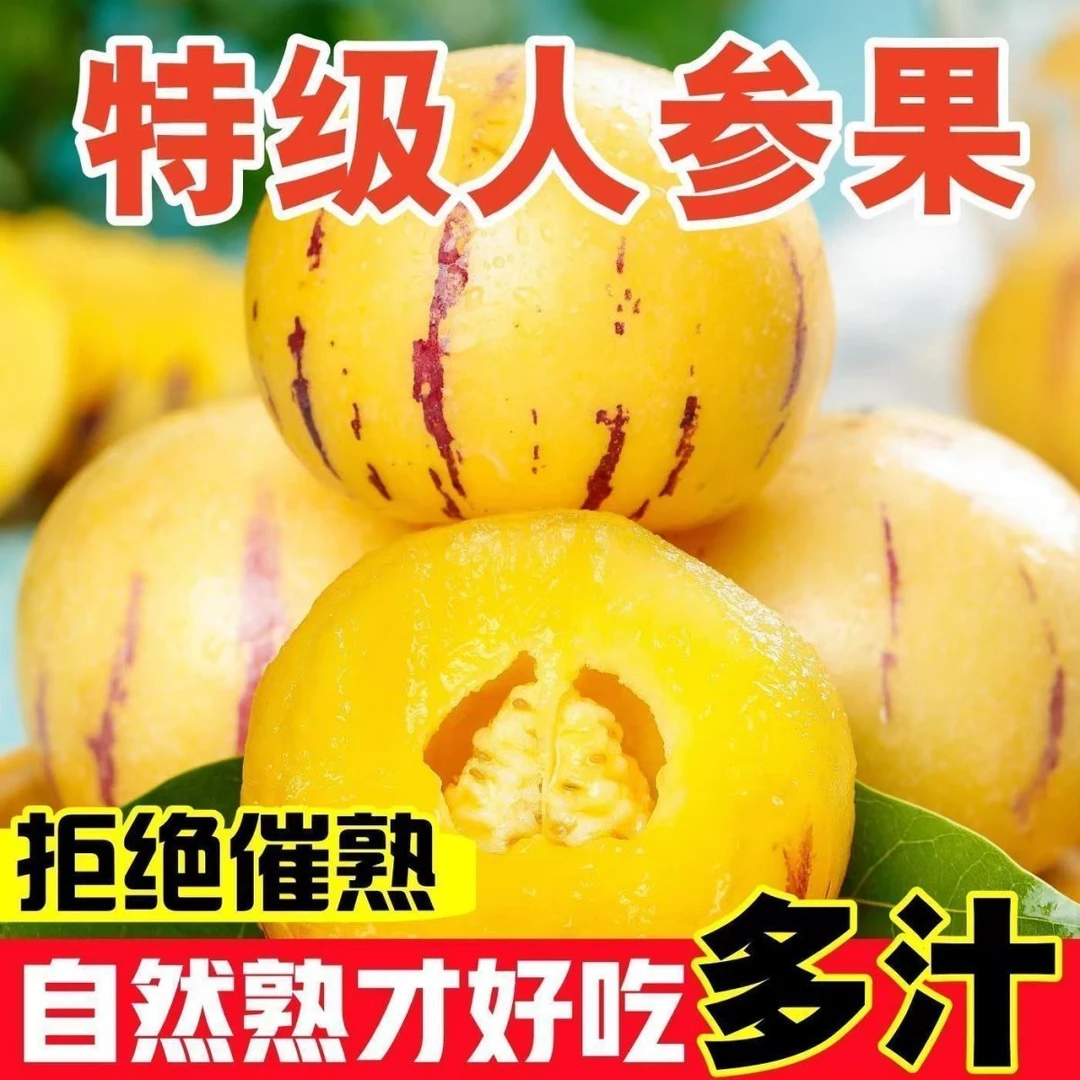 无品牌云南石林人参果圆果黄肉新鲜多汁当季应季水果爆甜人参果