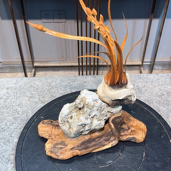 c***x柏木（崖柏）Asdffgggffffff