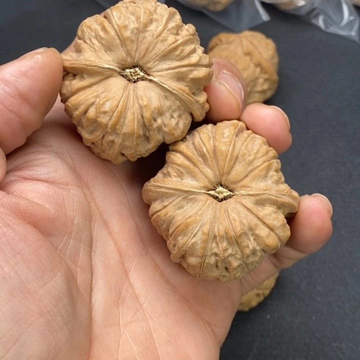 文玩核桃把件✨***✨南瓜墩