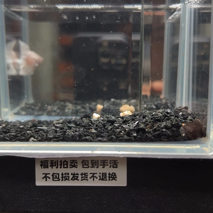 斗鱼竞拍跑单拉黑18日29