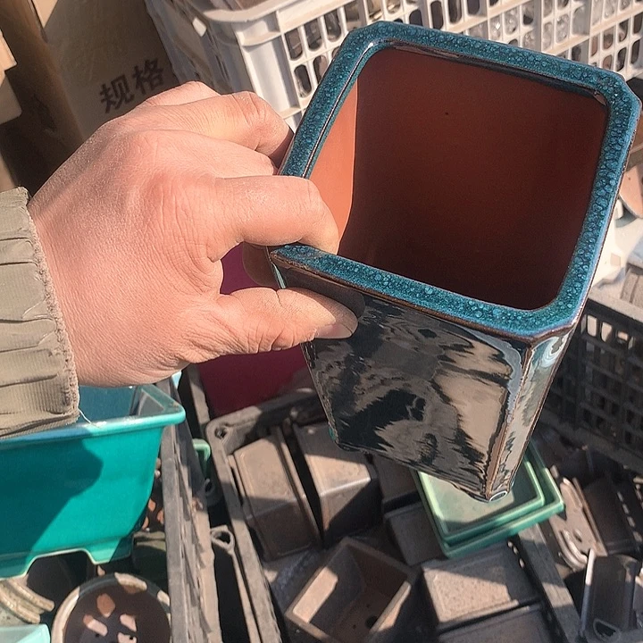 紫砂我要不去我就不会