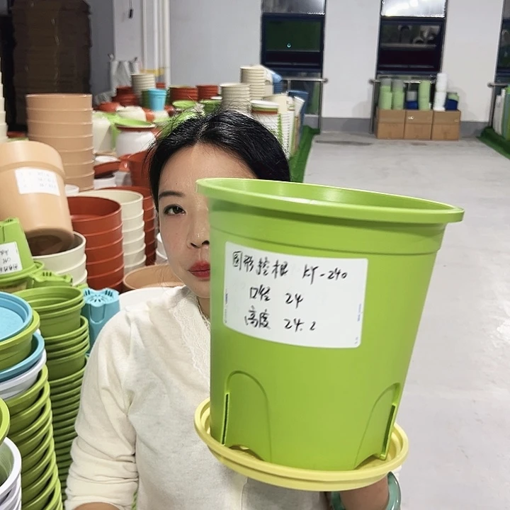 正品圆控口24高24果绿8只带托