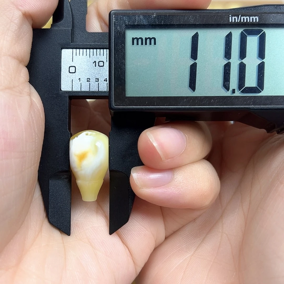 未镶嵌琥珀裸石三通