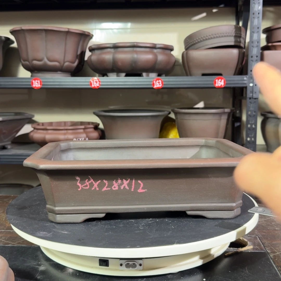 花盆紫砂呜呜呜我好喜欢