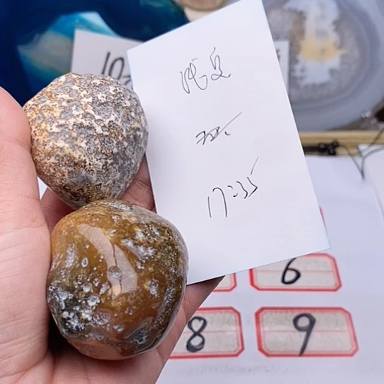 玛瑙/玉髓颈饰未镶嵌浅**烟