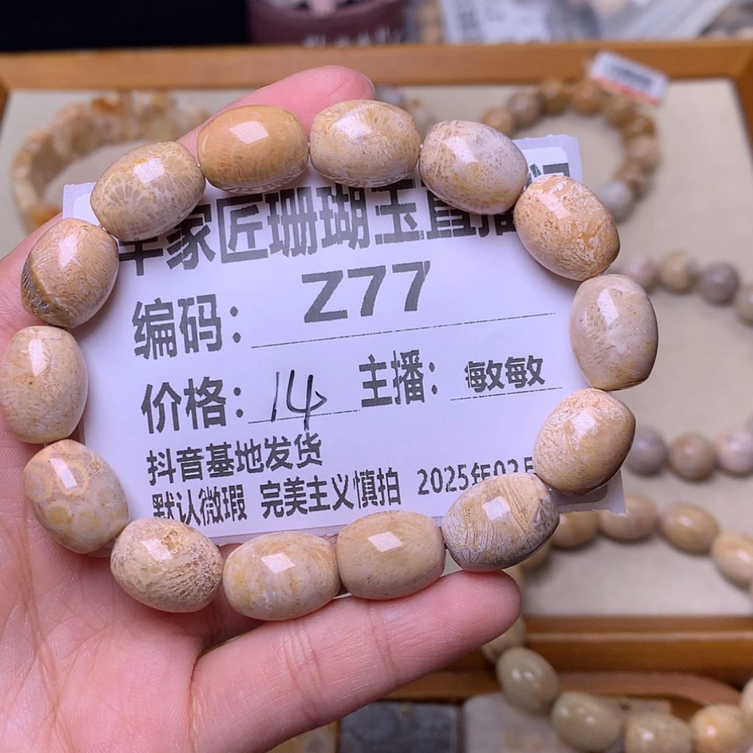 【闪购商品】硅化珊瑚（珊瑚玉）颈饰未镶嵌宝*儿Z77