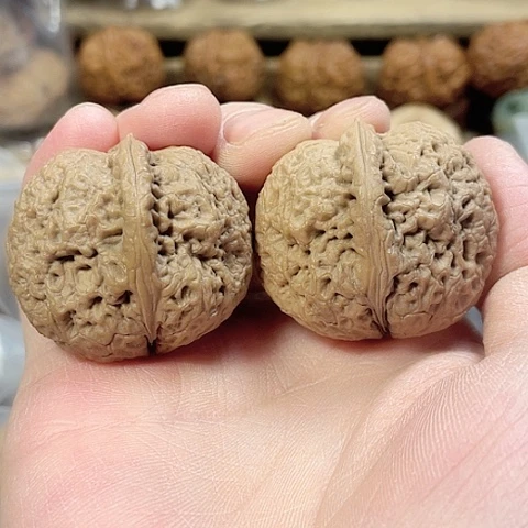 文玩核桃把件密纹金蟾带彩38+