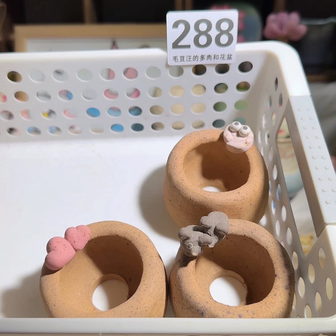 288 口4 福利特惠