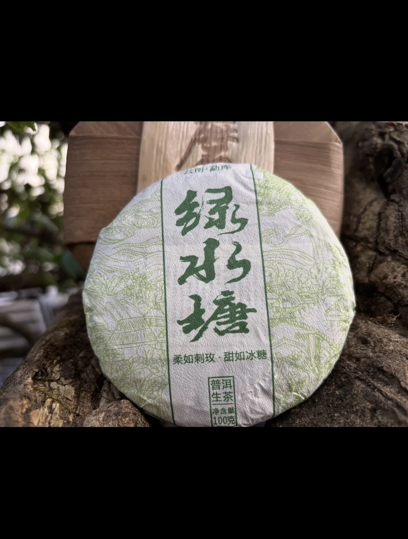 2025年“绿水塘大树”100克饼茶生茶
