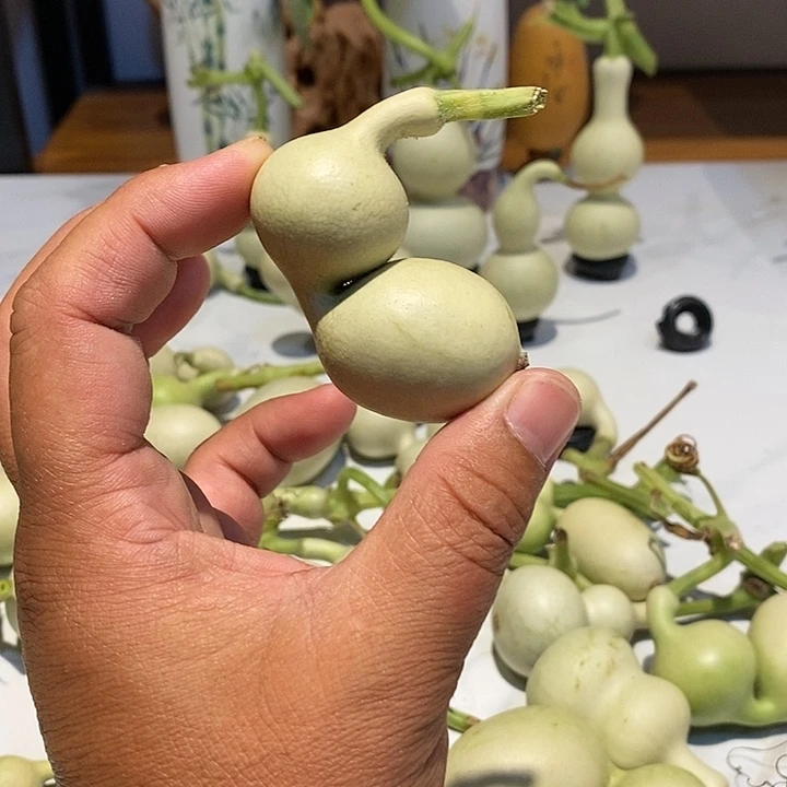 顺**水精品葫芦手把葫芦16