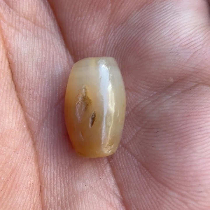 杨**说藏传精品配珠一对