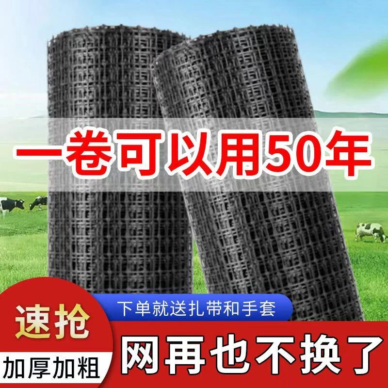 批发养鸡网养殖网围山鸡网围鸡网菜园网果园防鸟网土鸡网家禽网