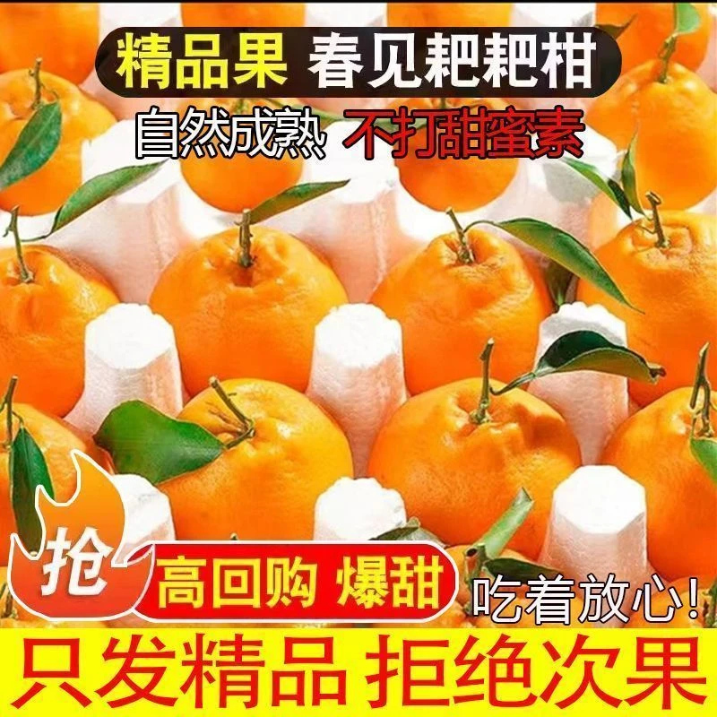 正宗四川春见耙耙柑超甜耙耙柑丑橘子当季新鲜水果香甜多汁大果X