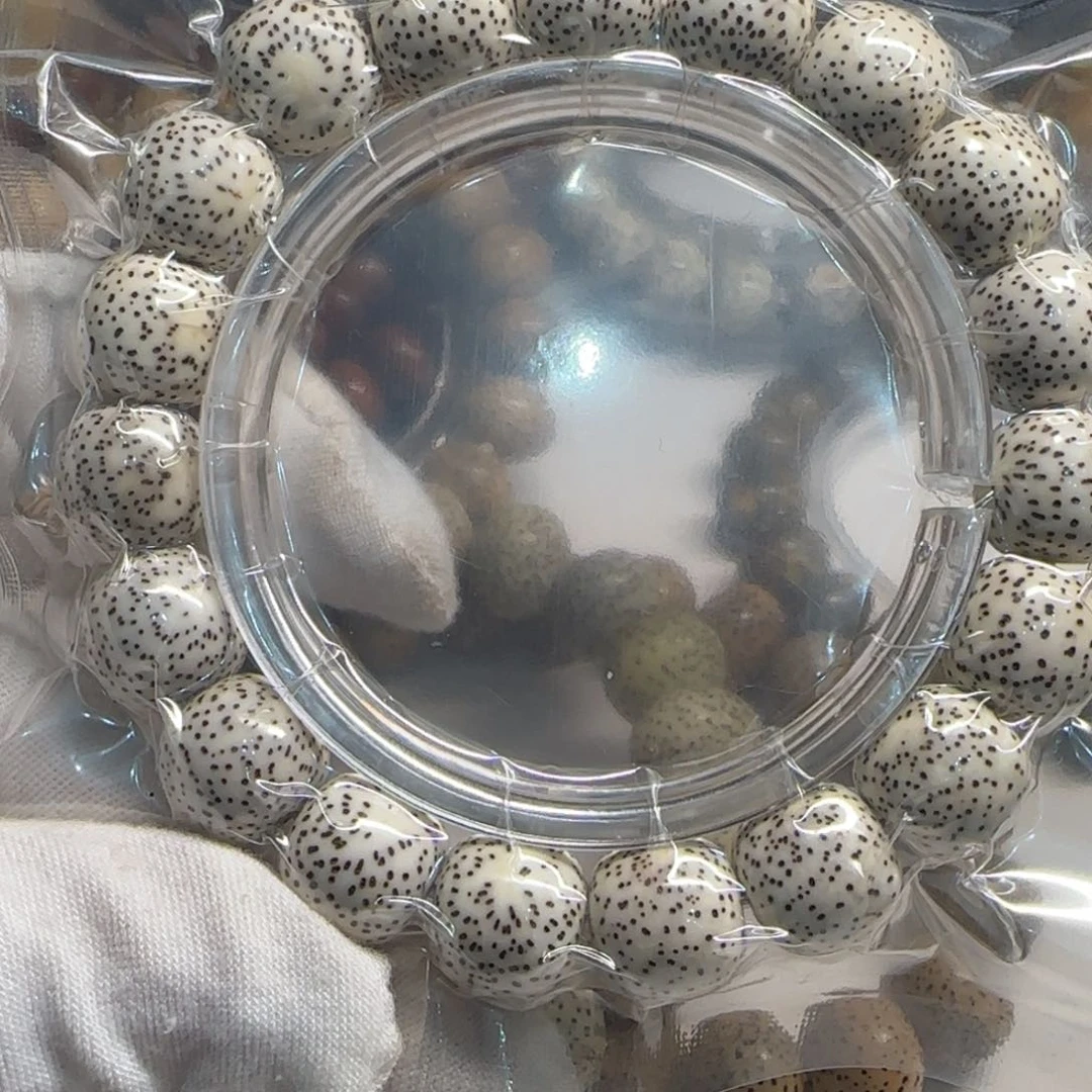 星月菩提吊坠?****?1312老型桶