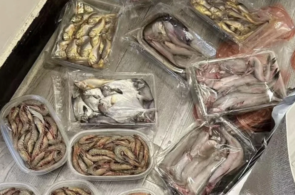 【第二网】网捕多种海鲜现捕（通货不挑拣）顺丰冷链