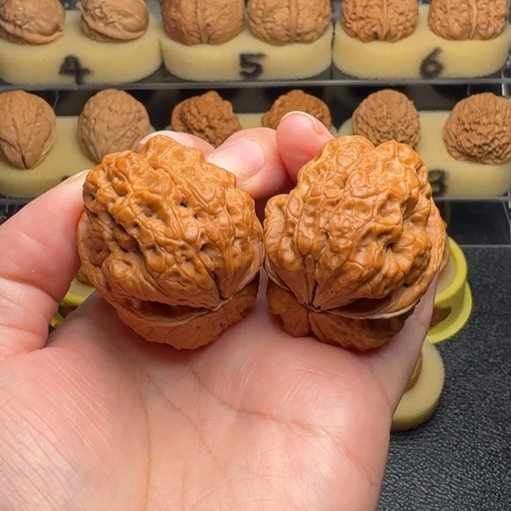 不***动把件文玩核桃赤火金蟾