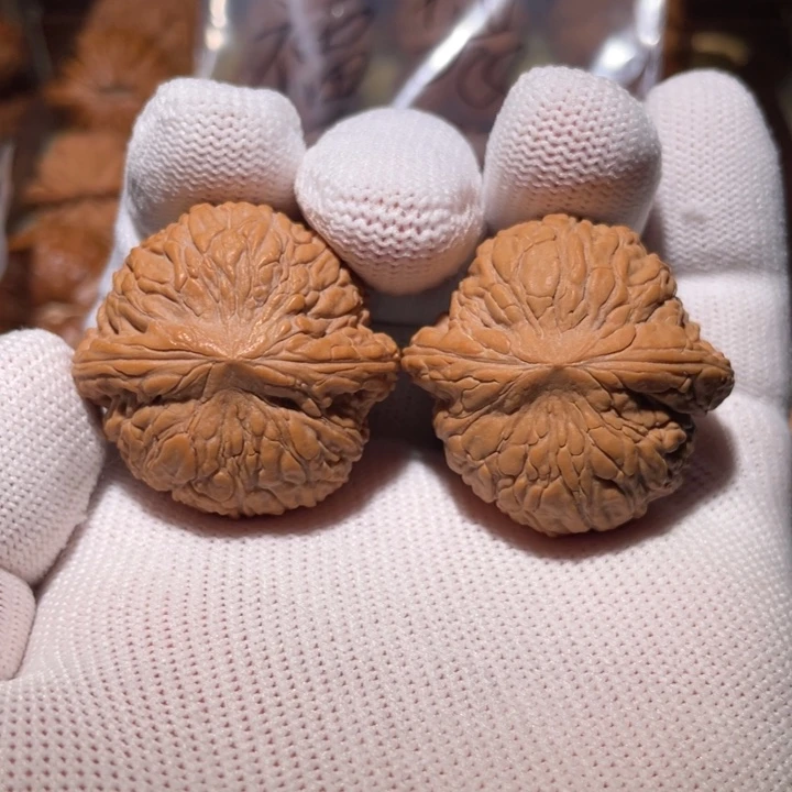 泥鳅背真好我要了啦啦啦啦啦01