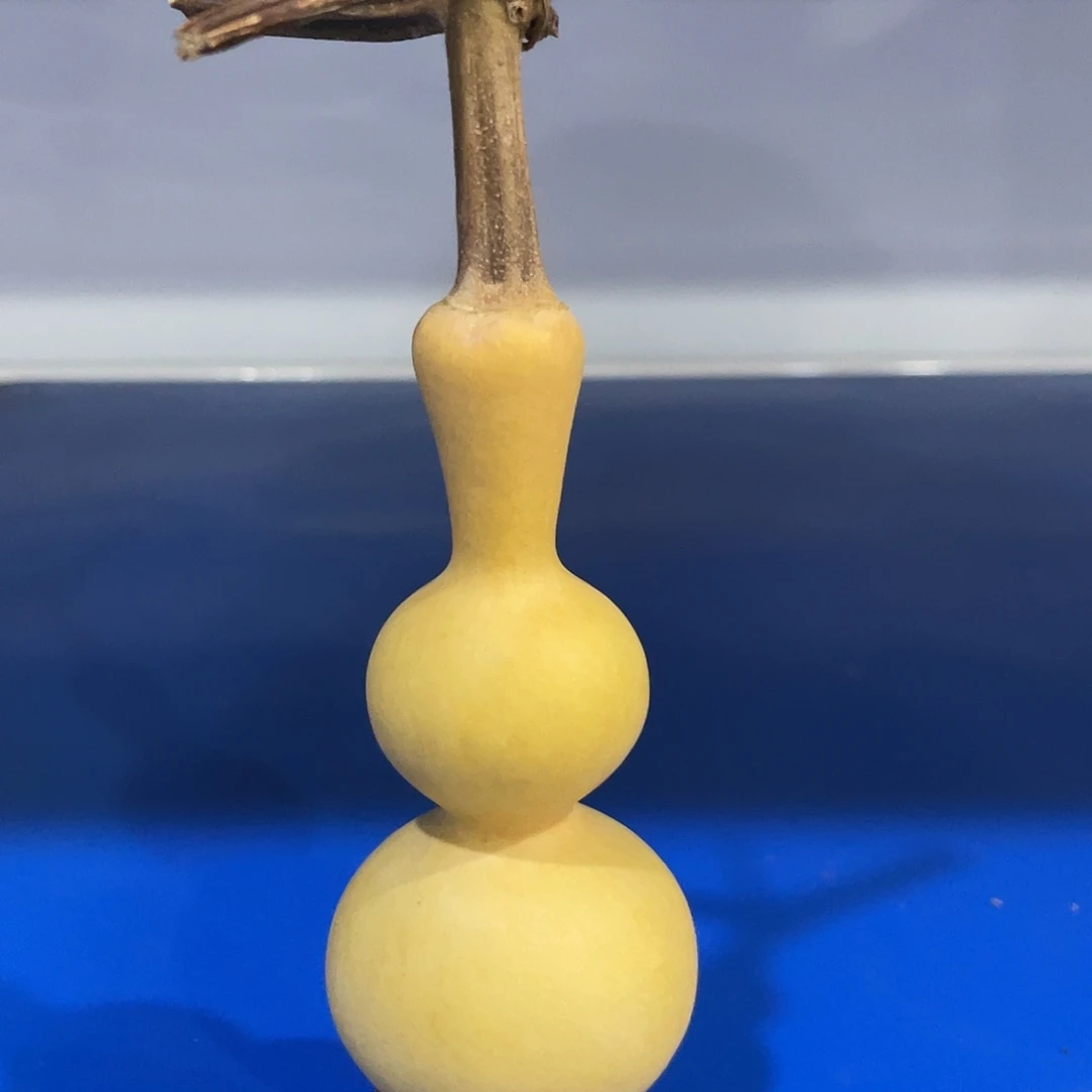 哼哼唧唧哼哼唧唧哈哈哈哈