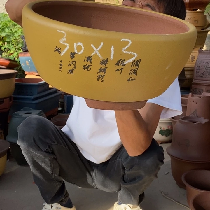 紫砂紫砂紫砂紫砂