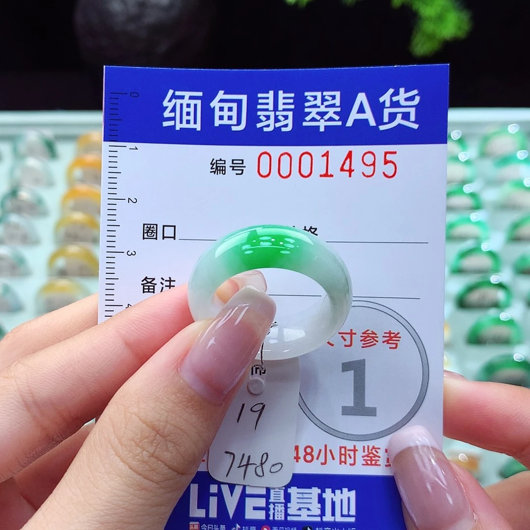 翡翠戒指未镶嵌19号
