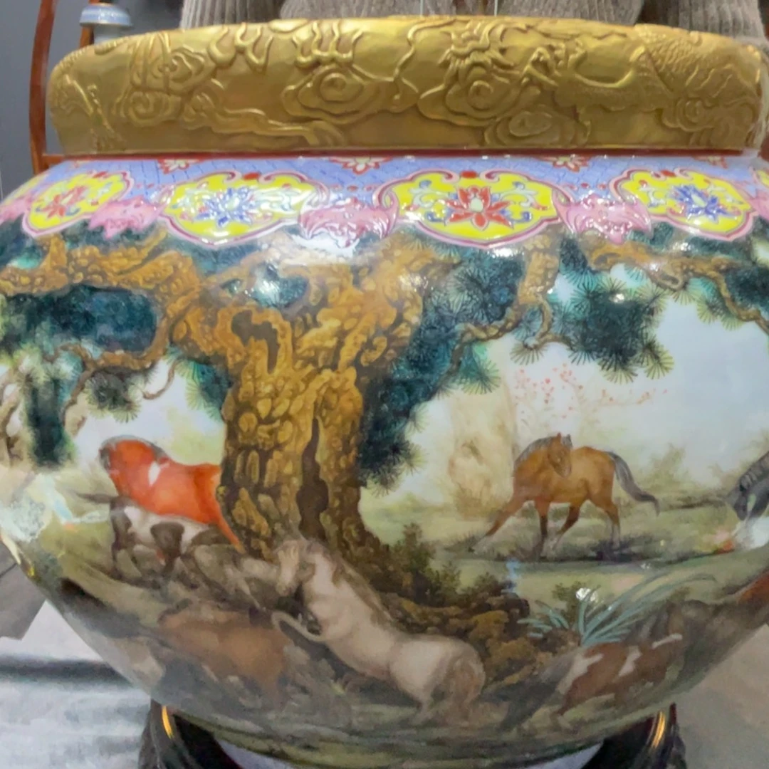 智***师瓷片6434555464334555464645884785