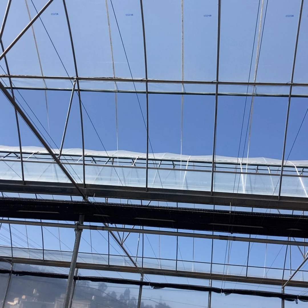 大灰姑娘有状态随机一颗