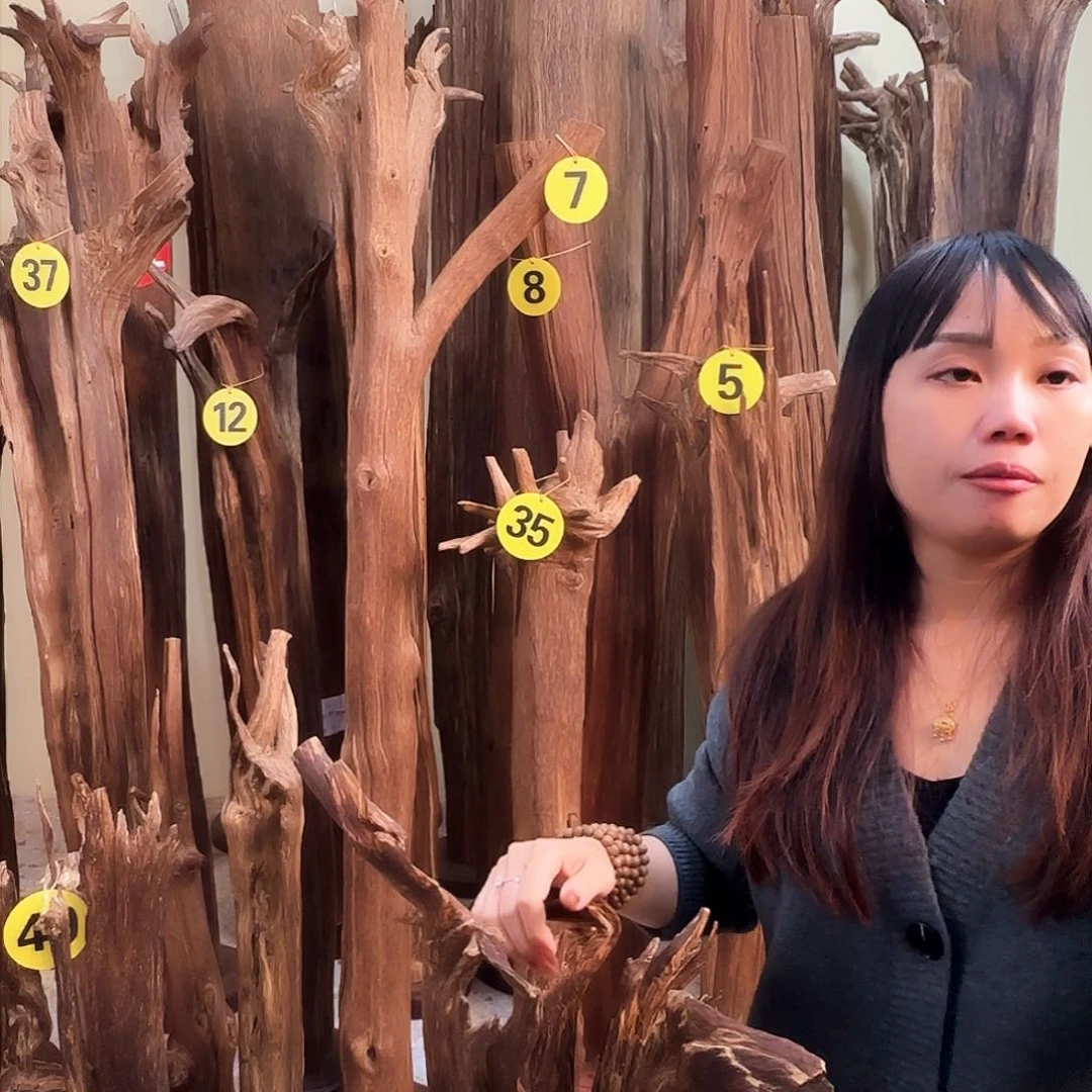 沉香沉香碎屑天然沉香原材料香料熏料