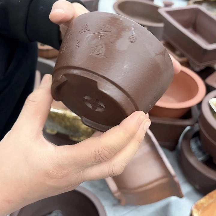 紫砂花盆紫砂的花也太漂亮