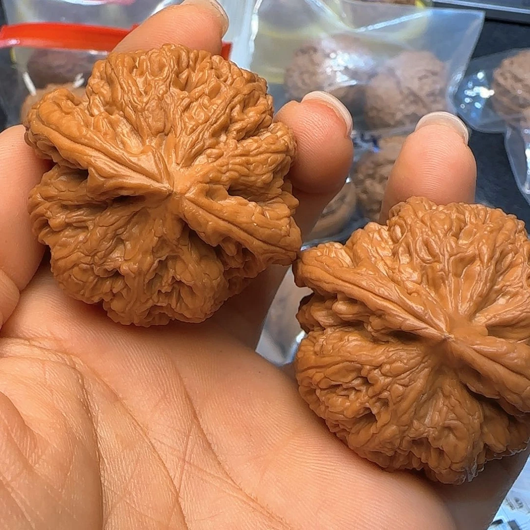 借***.文玩核桃把件46全品粗筋