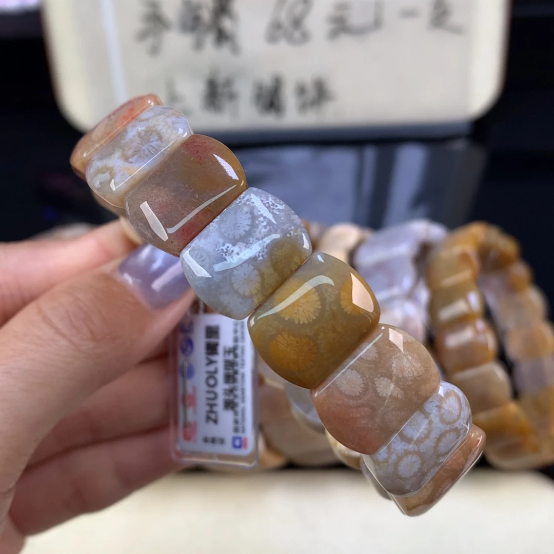 硅化珊瑚（珊瑚玉）未镶嵌吊坠(赠链)精美五折手牌（47号）