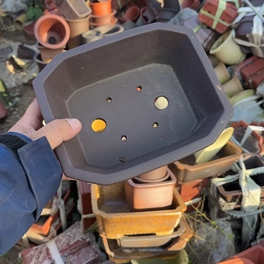 一哈来不急不快嘛亲爱你不要