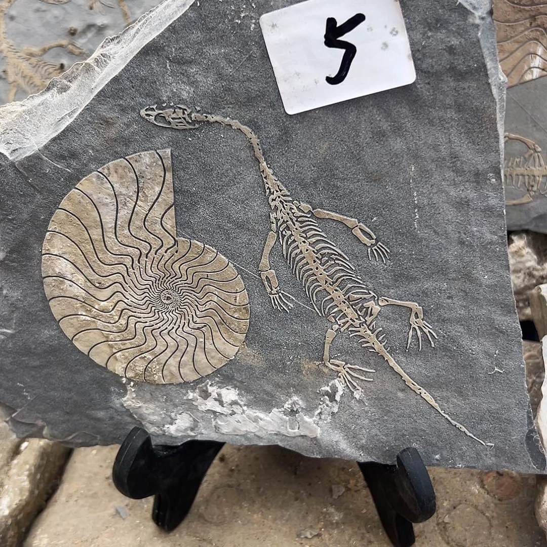 月***海石材贵州沉积岩石头摆件