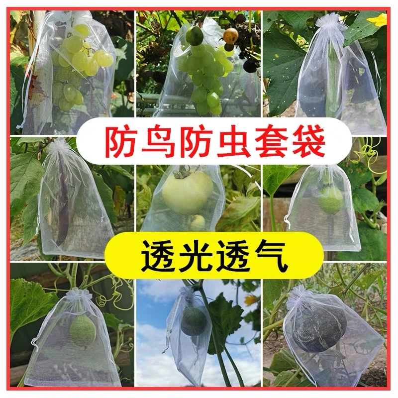 水果套袋防鸟袋防虫果树无花果葡萄桃子草莓保护袋果蝇束口袋西瓜