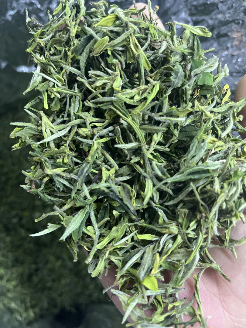 2025年贡眉王小菜茶001号贡眉