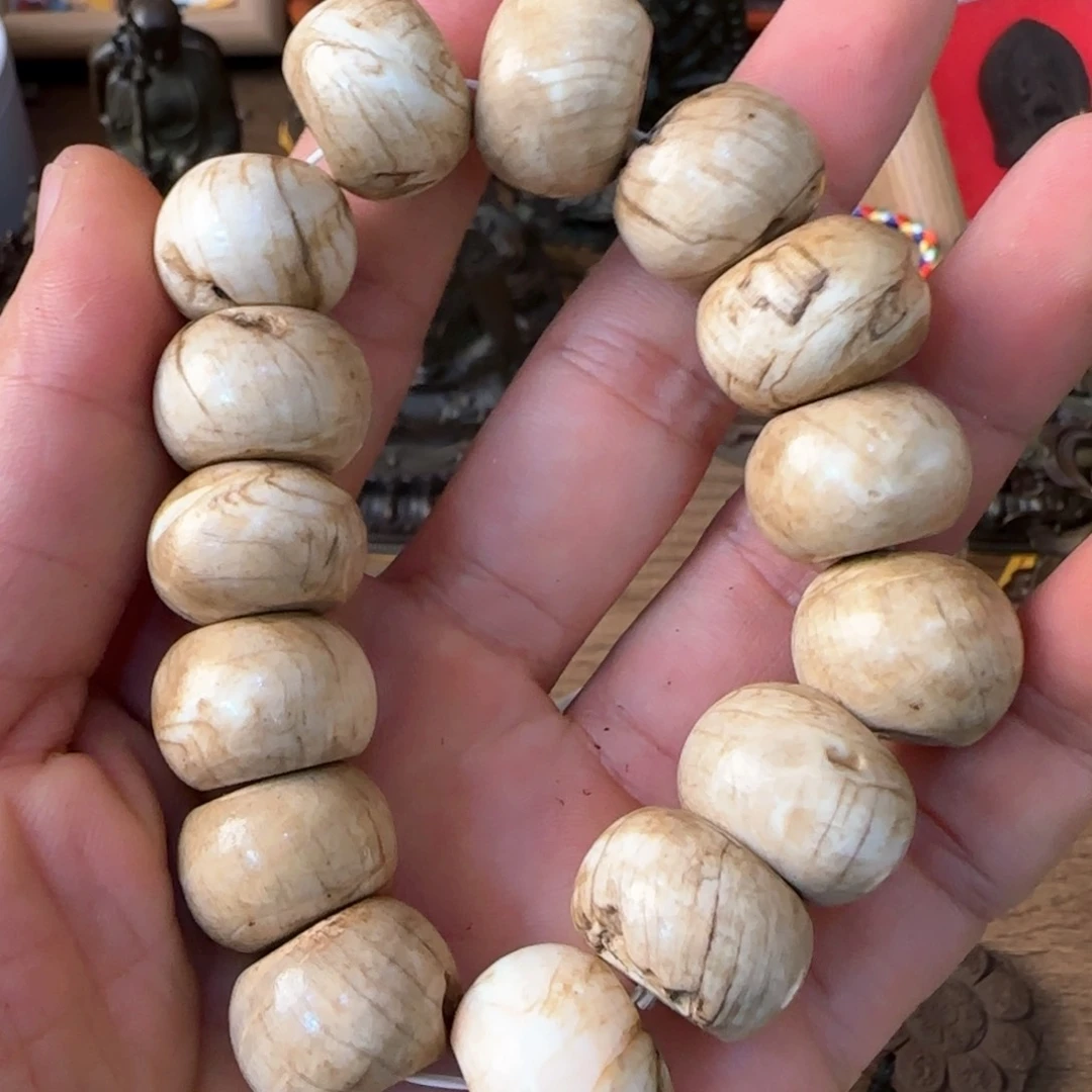 Vvvvvvvvvvvvvvvvvvvv